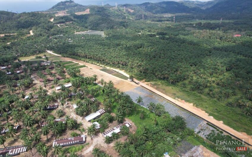 LAND SALE AT SUNGAI BAKAP JAWI 33.687 ACRE AGRICULTURE TITLE INDUSTRY ZONING