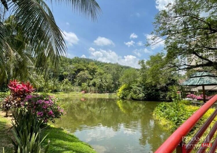 Taman Desa Relau 2 Block Q @ Relau Sungai Ara Freehold Villa Condo For Sale