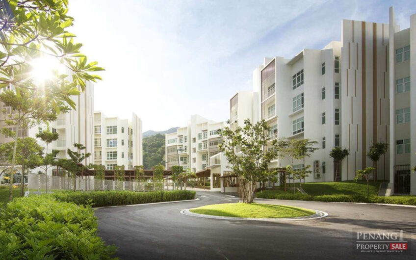 Ferringhi residence_greenery and lifestyle resort condo_nearby Uplands International School